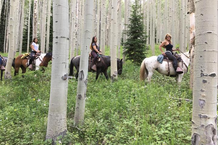 Horses riding through the forest